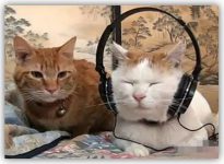 牌桌上令人讨厌的7大恶习,哪个你最不能忍-博狗扑克 蜗牛扑克 德州扑克跟我学