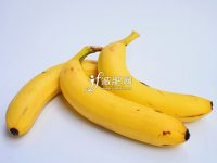 夏季减肥不能吃什么 远离6大增肥水果-博狗扑克 蜗牛扑克 德州扑克跟我学