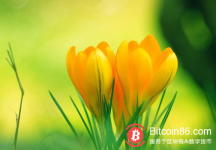 博狗比特币：区块链会不会有新的火花发展-博狗扑克 蜗牛扑克 德州扑克跟我学