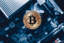 博狗比特币:近30%美国自由职业者更想接受加密货币支付报酬-博狗扑克 蜗牛扑克 德州扑克跟我学