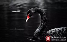 博狗比特币:2018年,传销币差点毁了区块链-博狗扑克 蜗牛扑克 德州扑克跟我学