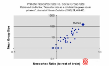 博狗比特币:为什么区块链会推动社会可扩展性?-博狗扑克 蜗牛扑克 德州扑克跟我学