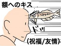 亲吻身体各个部位代表什么意思 让这条“亲吻鱼”告诉你-博狗扑克 蜗牛扑克 德州扑克跟我学