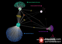博狗比特币：谁才是DeFi的真实用户？-博狗扑克 蜗牛扑克 德州扑克跟我学