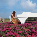 小清新正妹Estelle 新社花海花海中弹钢琴仙气逼人-博狗扑克 蜗牛扑克 德州扑克跟我学