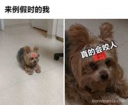 女生来月经是什么感受 九张图告诉男生女生来例假的真实写照-博狗扑克 蜗牛扑克 德州扑克跟我学