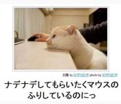 错把OO当鼠标 将错就错摸一摸令人笑喷-博狗扑克 蜗牛扑克 德州扑克跟我学