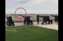 小鸟被礼炮击中化成羽毛 动物运气不佳的搞笑瞬间-博狗扑克 蜗牛扑克 德州扑克跟我学