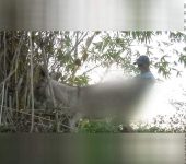 哥伦比亚处男有需要就和驴啪啪 “破触小母驴”奇葩习俗是真的吗-博狗扑克 蜗牛扑克 德州扑克跟我学