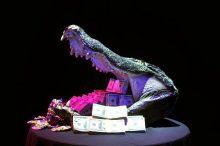 墨西哥湾扑克奖:一项表彰南方区域牌手和行业人的奖项-博狗扑克 蜗牛扑克 德州扑克跟我学