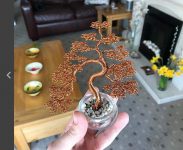 瓶中铁丝树 艺术家巧手创意令人不可思议-博狗扑克 蜗牛扑克 德州扑克跟我学