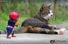 泰国网友分享蜘蛛侠模型写真 蜘蛛人迷你生活照太帅了-博狗扑克 蜗牛扑克 德州扑克跟我学