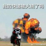 2018双十一后遗症 买家收到快递才想起买了什么-博狗扑克 蜗牛扑克 德州扑克跟我学