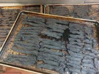 一看就满肚子火爆笑图片大全 别人的倒霉令你难以想像-博狗扑克 蜗牛扑克 德州扑克跟我学