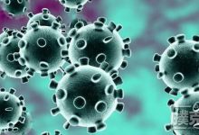 博狗扑克:牌手们打赌今年WSOP是否会因新冠病毒爆发取消-博狗扑克 蜗牛扑克 德州扑克跟我学