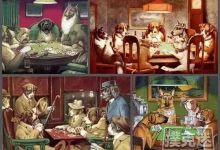 博狗扑克:水平不上不下的你,还在犯这5个错?-博狗扑克 蜗牛扑克 德州扑克跟我学