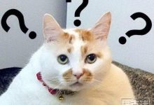 博狗扑克:不要用结果判断一手牌打的对不对-博狗扑克 蜗牛扑克 德州扑克跟我学