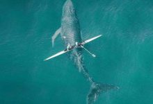 【蜗牛扑克】校园男女同学污的事情_做爱大全-博狗扑克 蜗牛扑克 德州扑克跟我学