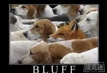 博狗扑克：如何判断一个德州扑克牌面是否适合用来诈唬-博狗扑克 蜗牛扑克 德州扑克跟我学