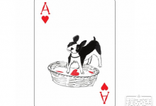 博狗扑克:德州扑克中等待还是开火?一个关于慢玩的讨论-博狗扑克 蜗牛扑克 德州扑克跟我学
