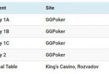 博狗扑克:Julian Menhardt领跑2020年WSOP主赛事-博狗扑克 蜗牛扑克 德州扑克跟我学