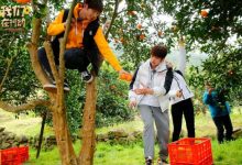 东方卫视《我们在行动》走进奉节县 蒋勤勤化身“萌妹”代言家乡脐橙 王耀庆猝不及防吃“狗粮”-博狗扑克 蜗牛扑克 德州扑克跟我学