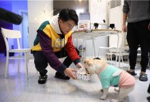 《亲爱的,来吃饭》有孙艺洲吗?孙艺洲参加的哪一期?-博狗扑克 蜗牛扑克 德州扑克跟我学