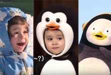 《超人回来了》预告:「威本联盟」与最红练习生「PENGSOO」相遇!-博狗扑克 蜗牛扑克 德州扑克跟我学