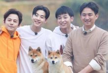 还记得《向往的生活》里的明星宠物吗?它们都怎么样了?-博狗扑克 蜗牛扑克 德州扑克跟我学