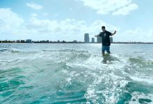 《周游记》澳洲海钓遇困境,周杰伦即将打开新技能大门-博狗扑克 蜗牛扑克 德州扑克跟我学