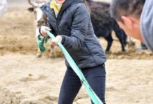 东方卫视《我们在行动》扶贫脚步进西藏!Angelababy、俞灏明、蒲巴甲高原种土豆 聂远、陈蓉亲自上阵帮助鱼苗“搬家”-博狗扑克 蜗牛扑克 德州扑克跟我学