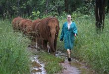 《奇遇人生》首播  纪录片X真人秀结合展现电影质感-博狗扑克 蜗牛扑克 德州扑克跟我学