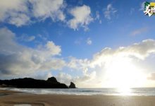 神秘嘉宾惊喜造访《美味猎手》 领队田亮荒岛尬舞-博狗扑克 蜗牛扑克 德州扑克跟我学