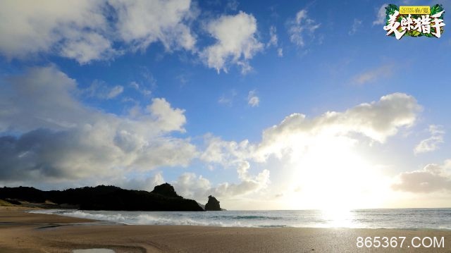 神秘嘉宾惊喜造访《美味猎手》 领队田亮荒岛尬舞