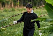 《向往的生活4》快乐家族版纳来访亲 蘑菇屋全军出击做农活-博狗扑克 蜗牛扑克 德州扑克跟我学