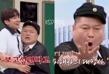 林瑟雍和姜镐童见面不示弱！带上「女神」孙淡妃、「打架王」郑赞成转学到《认识的哥哥》-博狗扑克 蜗牛扑克 德州扑克跟我学