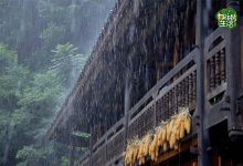 《向往4》嘉宾曝光，4位常驻不见刘宪华，3位飞行嘉宾无亮点可寻-博狗扑克 蜗牛扑克 德州扑克跟我学