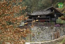 《向往的生活》第四季即将开启,全员回归,唯独缺少他?-博狗扑克 蜗牛扑克 德州扑克跟我学