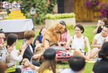 《萌主来了》第一季完美收官 超人气萌宠萌出“现象级”表现-博狗扑克 蜗牛扑克 德州扑克跟我学