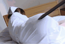 RBD-780:熟女护士姐姐“石原莉奈”被囚禁调教和强迫中出!-博狗扑克 蜗牛扑克 德州扑克跟我学