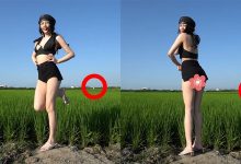 【EV扑克】田中央更衣片流出！正妹真实身材全看光网暴动：肃然起敬-博狗扑克 蜗牛扑克 德州扑克跟我学