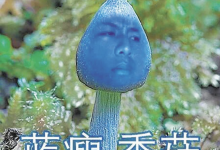 花錢玩夾娃娃機卻夾到藍瘦香菇～真是讓人哭笑不得（哪招啊-博狗扑克 蜗牛扑克 德州扑克跟我学