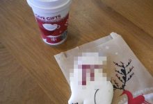 星巴克『血腥北極熊餅乾』引民怨 要變身反聖誕節企業了嗎？-博狗扑克 蜗牛扑克 德州扑克跟我学