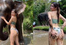 甜美妹子大露翹臀「性感洗大象」　網友：也想報名被洗澡-博狗扑克 蜗牛扑克 德州扑克跟我学