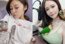 讓人羨慕的毛小孩!JKF 最美寵物主人來啦!-博狗扑克 蜗牛扑克 德州扑克跟我学