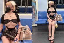 囂張到國外去!大尺女王不僅稱霸北捷 連泰國捷運都不放過!-博狗扑克 蜗牛扑克 德州扑克跟我学