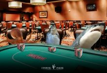 【EV扑克】你在线下cash是鱼还是鲨?结果可能会让你重新认识自己-博狗扑克 蜗牛扑克 德州扑克跟我学