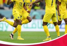 迈博体育 世界杯-瓦伦西亚双响 卡塔尔揭幕战0-2厄瓜多尔-博狗扑克 蜗牛扑克 德州扑克跟我学