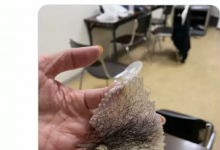 【EV扑克】拍写真要用的！流川莉央的人工阴毛现形！-博狗扑克 蜗牛扑克 德州扑克跟我学