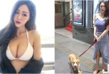 看電影遇到「大奶遛狗正妹」！身材火辣太犯規！原來還是服飾店「美女店員」啊！-博狗扑克 蜗牛扑克 德州扑克跟我学